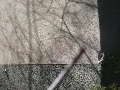 050513_26